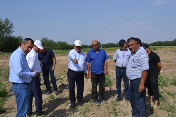 Муовини Сарвазири Тоҷикистон дар ноҳияи Мастчоҳ бо ҳолати заминҳои кишоварзӣ ва вазъи обрасонӣ шинос шуд