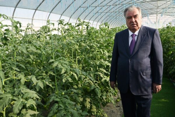 Президенти Ҷумҳурии Тоҷикистон Эмомалӣ Раҳмон дар ноҳияи Рӯшон гармхонаи замонавиро ифтитоҳ намуда, аз намоиши маҳсулоти кишоварзони ноҳия дидан намуданд