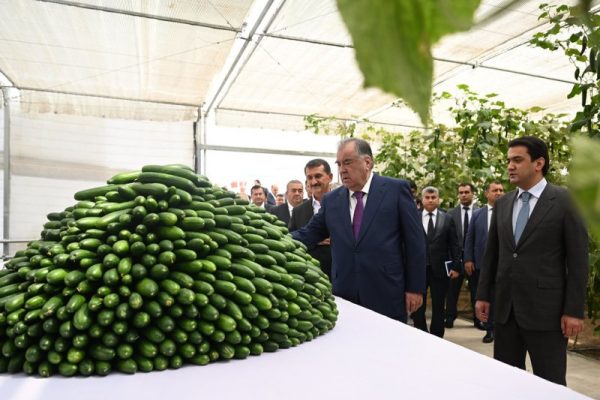 Пешвои миллат Эмомалӣ Раҳмон дар ноҳияи Синои шаҳри Душанбе аз гармхонаи замонавии Кооперативи тиҷоратии «Донаҳои Умед» боздид намуданд
