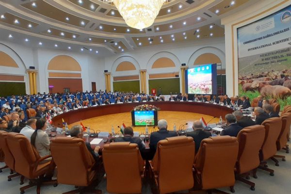 Симпозиуми байналмилалии илмию амалӣ оид ба гӯсфанди ҳисорӣ баргузор шуд